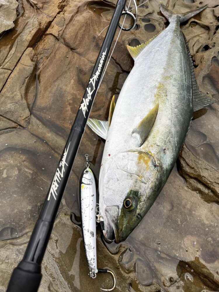 ロッド BlackDimension 106MR SEPTEMBER SESSIONS | FISHING / SURFING / LIFESTYLE | OnlineStore